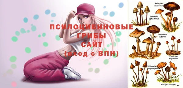 MDMA Инта