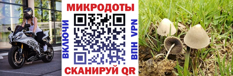 Псилоцибиновые грибы GOLDEN TEACHER  Купить  Дмитриев 